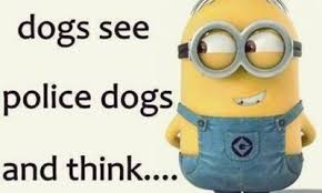 minion pictures funny es