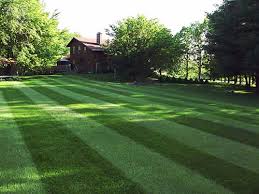 Commercial Lawn Care Orange County Ny