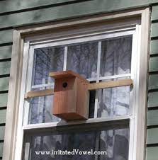Window Bird House With Transpa Back