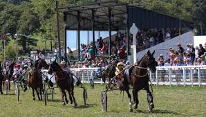 Signification couleurs jockeys
