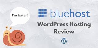 i tested bluehost wordpress hosting it