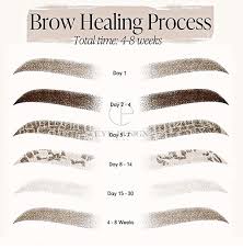 eyebrow tattoo healing and aftercare