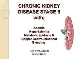 Chronic Kidney Disease Diet Therapy