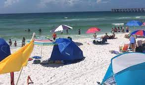 sea lice on florida beaches updated