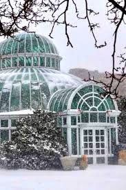 There's always something in bloom at the brooklyn botanic gardens! Free Admission To Brooklyn Botanical Garden All Winter Bucket Listers