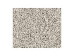 shaw carpet anso colorwall find your