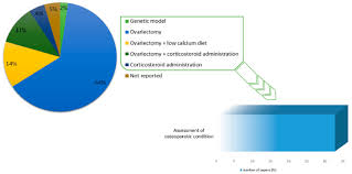 Pie Chart Of The Methods Used For Inducing Osteoporosis In