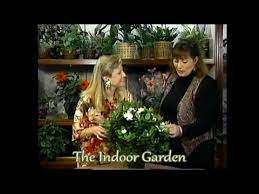 how to grow a gardenia indoors you
