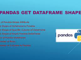 pandas get dataframe shape spark by