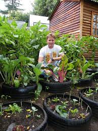 Grow Vegetables In A Tyre Garden