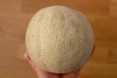 How do you know when a cantaloupe is bad?