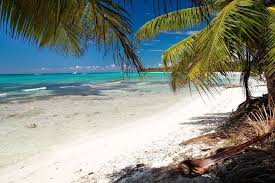 We have reviews of the best places to see in grand bahama island. Grand Bahama Bahamas