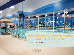 why goldfish swim lessons are life
