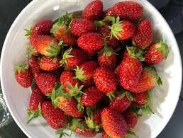 ת×צ×ת ת××× × ×¢××ר ת×ת