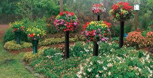 Specialty Gardens Boca Raton Garden
