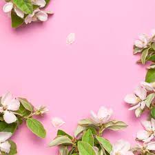flower background images wallpapers