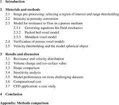 a porosity model for medical image