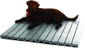 2 dog kennel deck flooring raised