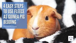 Fleece Vs Bedding For Guinea Pigs Pros