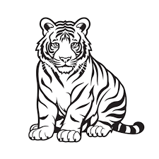 black and white tiger drawings on a