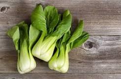 Is bok choy similar to cabbage?