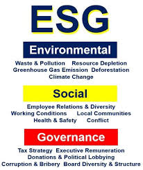 what is esg definition and meaning