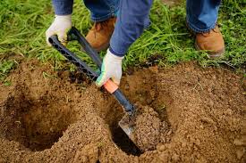 How To Dig The Soil In Your Garden