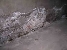 White Substance On Basement Walls