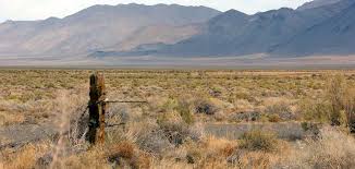 In september of 2002, chapter 984, statutes of 2002, enacted the rangeland, grazing land and grassland protection act of 2002. Great Basin Seed Study Experiment Targets Rangeland Restoration University Of Nevada Reno