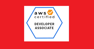 how to aws certified developer