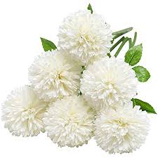 Zones, particularly early fall or late spring. Tifuly Artificial Hydrangea Flowers 6 Pcs Silk Chrysanthemum Small Ball Flowers For Home Garden Party Office Decoration Bridal Wedding Bouquets Floral Arrangement Centerpieces White Amazon Co Uk Kitchen Home