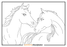 De paarden zijn boerderijdieren, huisdieren worden paarden kleurplaten voor u om te kleuren elke dag te schilderen en plezier hebben van onze website geven. Kleurplaat Paard Download Gratis Paarden Kleurplaten Eendier Nl