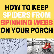 how to keep spiders from making webs on