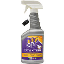 cat kitten formula with hard surface