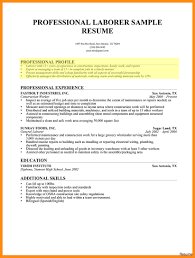 Profile Sample Resume Best Solutions Of Resume Profile Personal