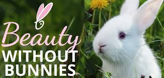 feature peta approved bunny logo