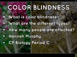 color blindness powerpoint by hannah