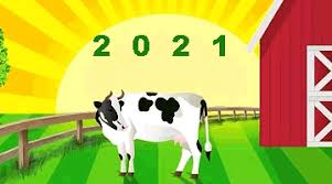 2021 Chinese New Year of White Cow, Metal Ox Year