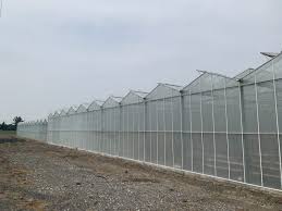 Glass Greenhouse Chilliwack Bc