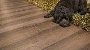 bamboo floors and dogs scratches