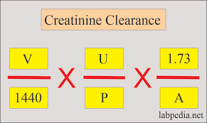 Creatinine Clearance Crc Test