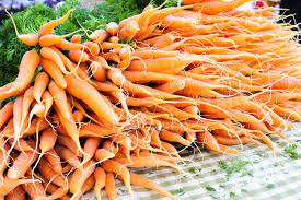 farm fresh bunches of carrots on table