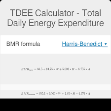 Tdee Calculator Total Daily Energy