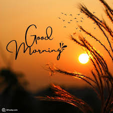 525 good morning images 1080x1080 hd