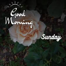 ᐅ121 good morning sunday images hd