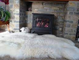 Furniture Fireplace Rugs Bear Skin Rug