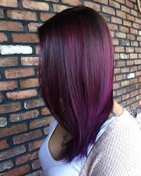 28 Albums Of Plum Purple Hair Explore Thousands Of New
