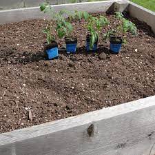 how to amend raised bed garden soil