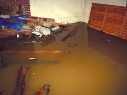 Basement Flooding Near Wilmington