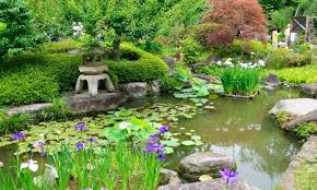 How To Design Your Own Japanese Garden